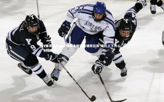 V体育官方app-瑞典主帅豪言破局在即 球队上下齐心剑指胜利