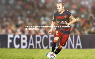 V体育官方app-丹麦队遇强必胜显黑马本色 欧洲杯晋级之路备受期待