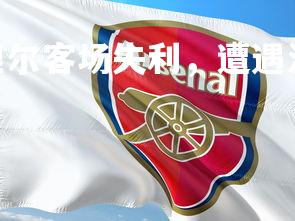 V体育官方app-里尔客场失利，遭遇法甲两连败，里尔vs-第2张图片-V体育官方app