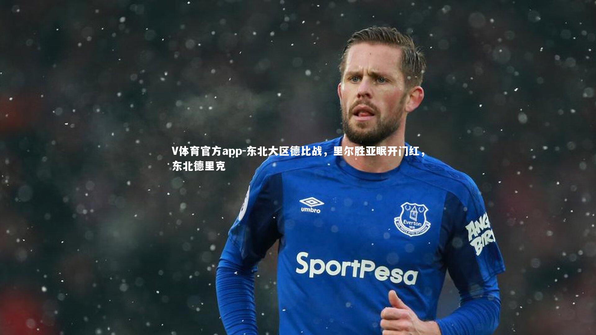 V体育官方app-东北大区德比战，里尔胜亚眠开门红，东北德里克-第4张图片-V体育官方app